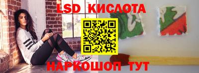 гидра Будённовск