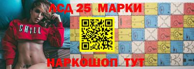 гидра Будённовск