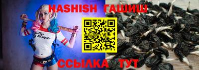 гидра Будённовск
