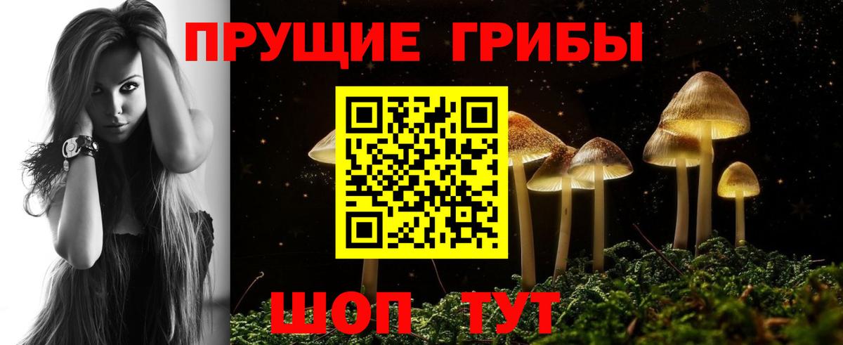 Краснокаменск  Галлюциногенные грибы Cubensis  Вход с VPN 